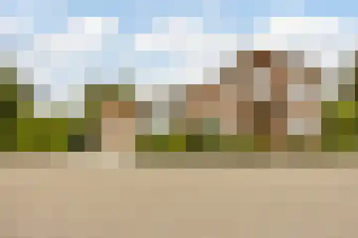 Rozenobel 34 Cuijk thumbnail 52