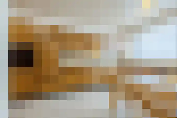 Rozenobel 34 Cuijk thumbnail 7