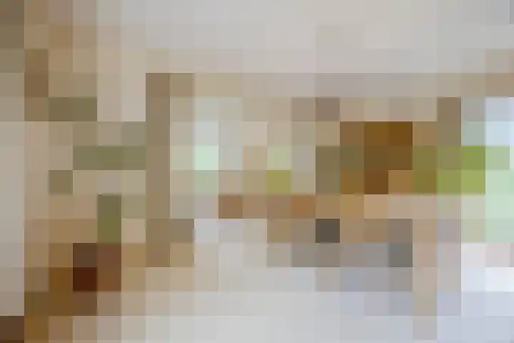 Rozenobel 34 Cuijk thumbnail 8