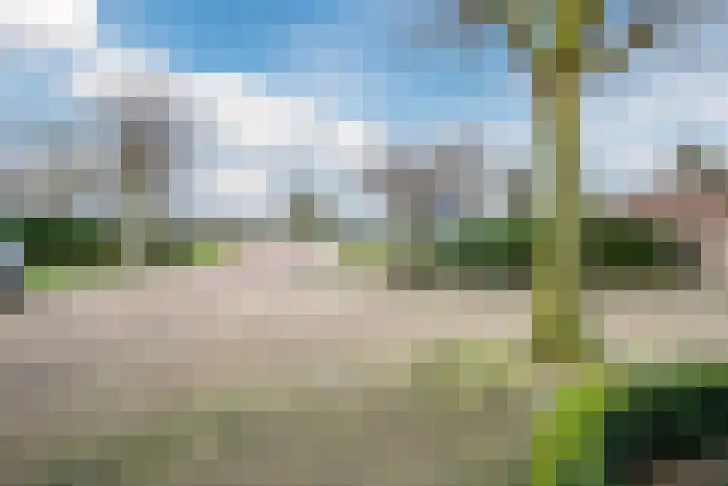 Rozenobel 71 Cuijk thumbnail 21