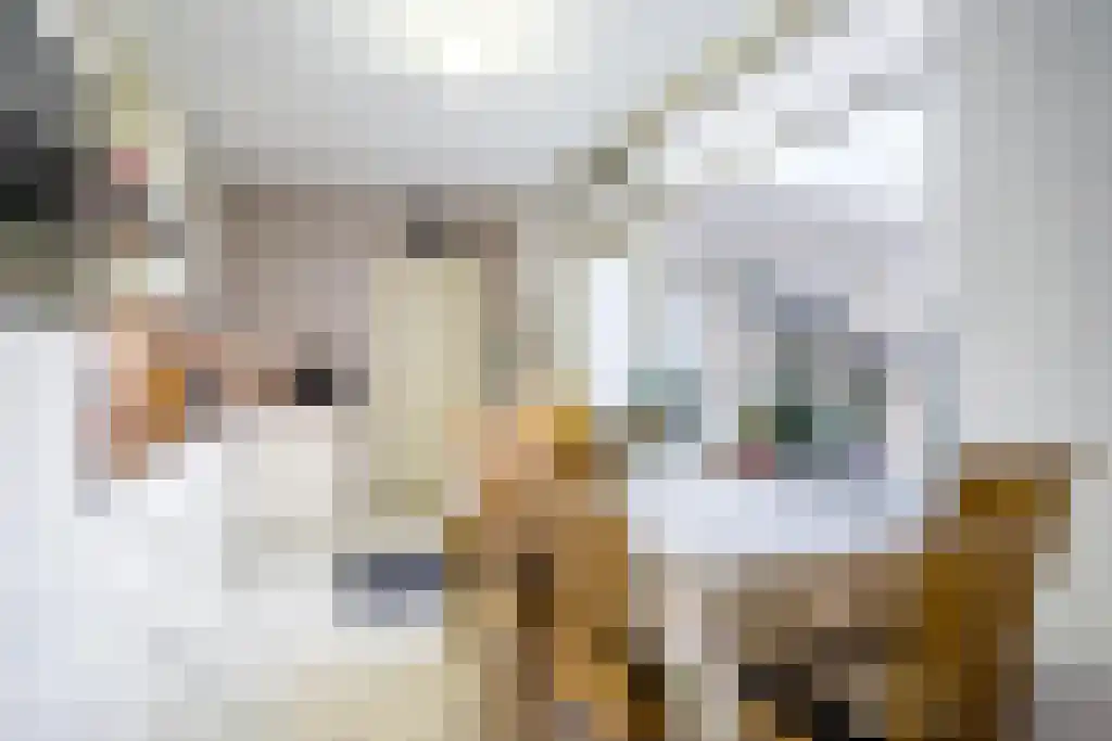 Rozenobel 71 Cuijk thumbnail 9
