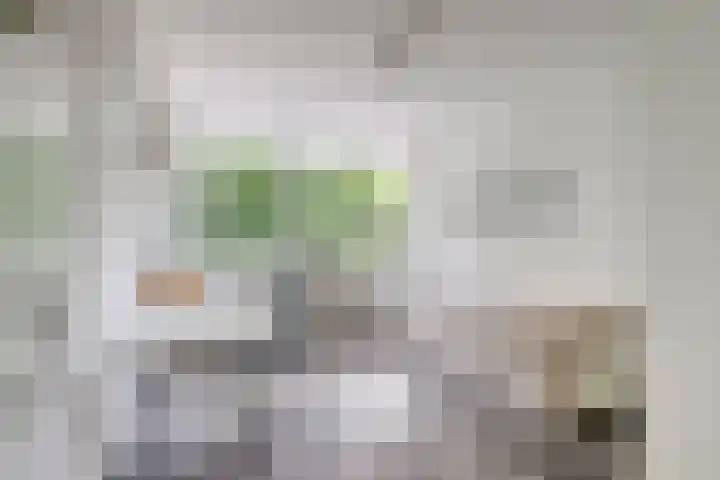 Rozenoord 11 Amstelveen thumbnail 10