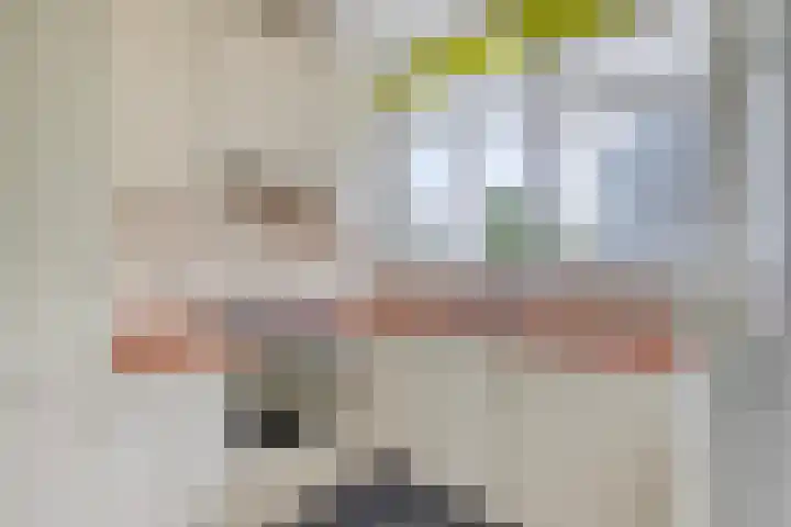 Rozenoord 11 Amstelveen thumbnail 12