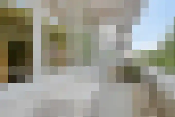 Rozenoord 11 Amstelveen thumbnail 16
