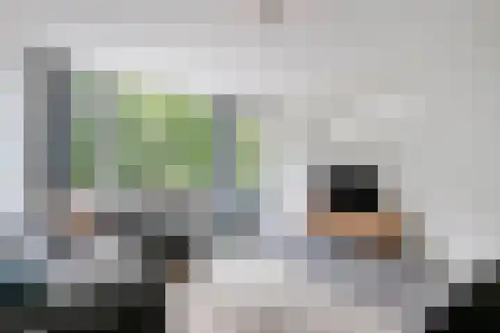 Rozenoord 11 Amstelveen thumbnail 4