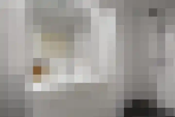 Rozenoord 111 Amstelveen thumbnail 10