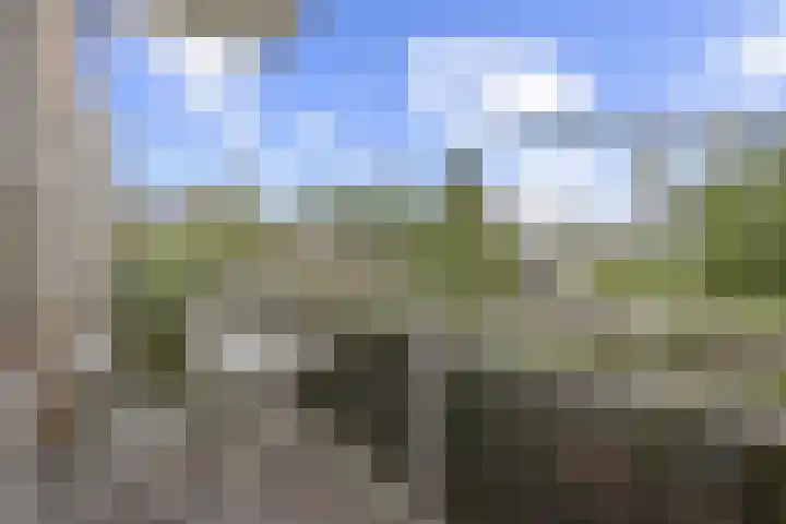 Rozenoord 111 Amstelveen thumbnail 12