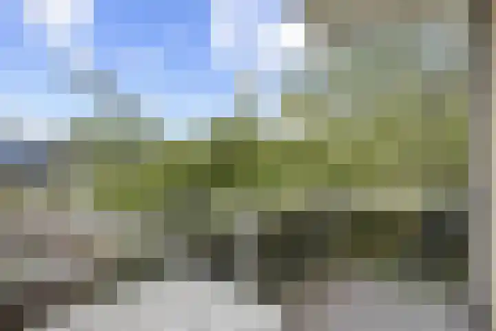 Rozenoord 111 Amstelveen thumbnail 13