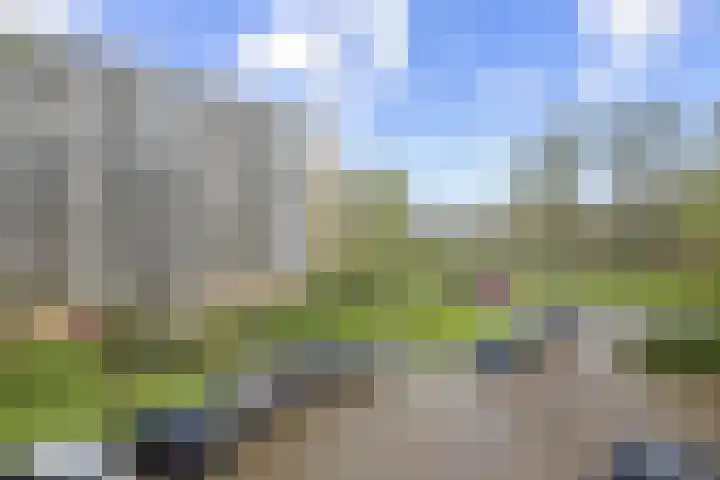 Rozenoord 111 Amstelveen thumbnail 14
