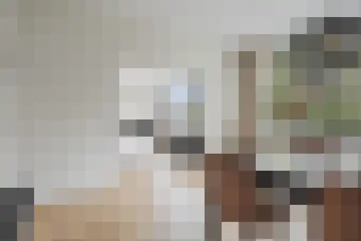 Rozenoord 111 Amstelveen thumbnail 4