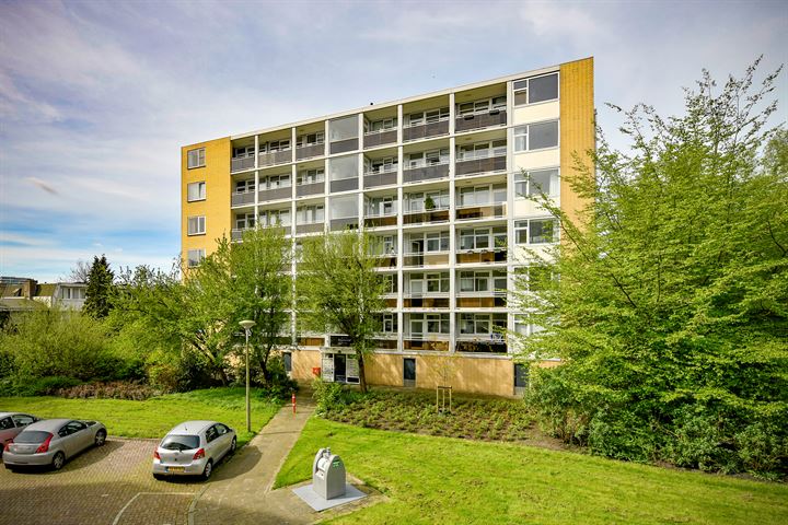 Rozenoord 113 en Amstelveen foto