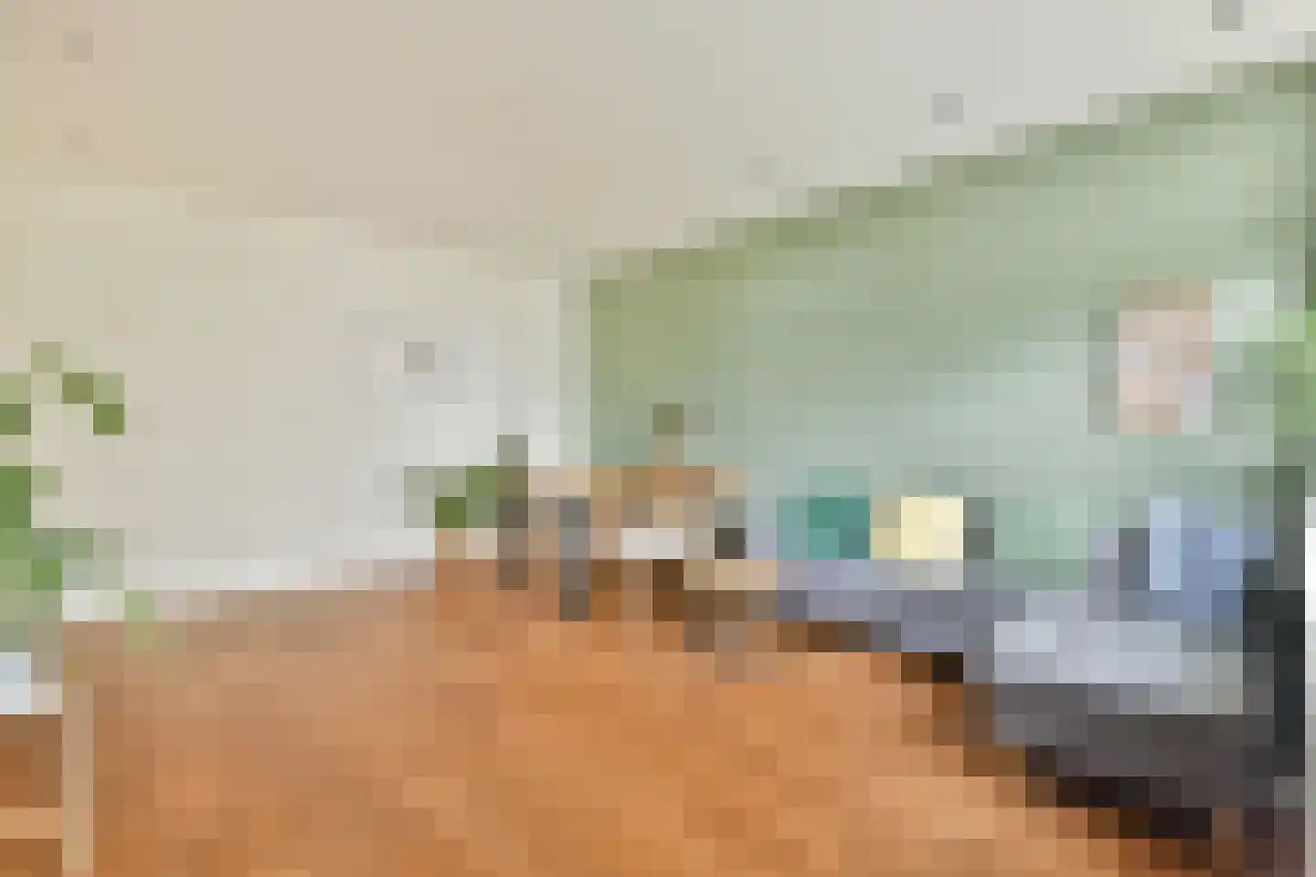 Rozenoord 115 Amstelveen thumbnail 6