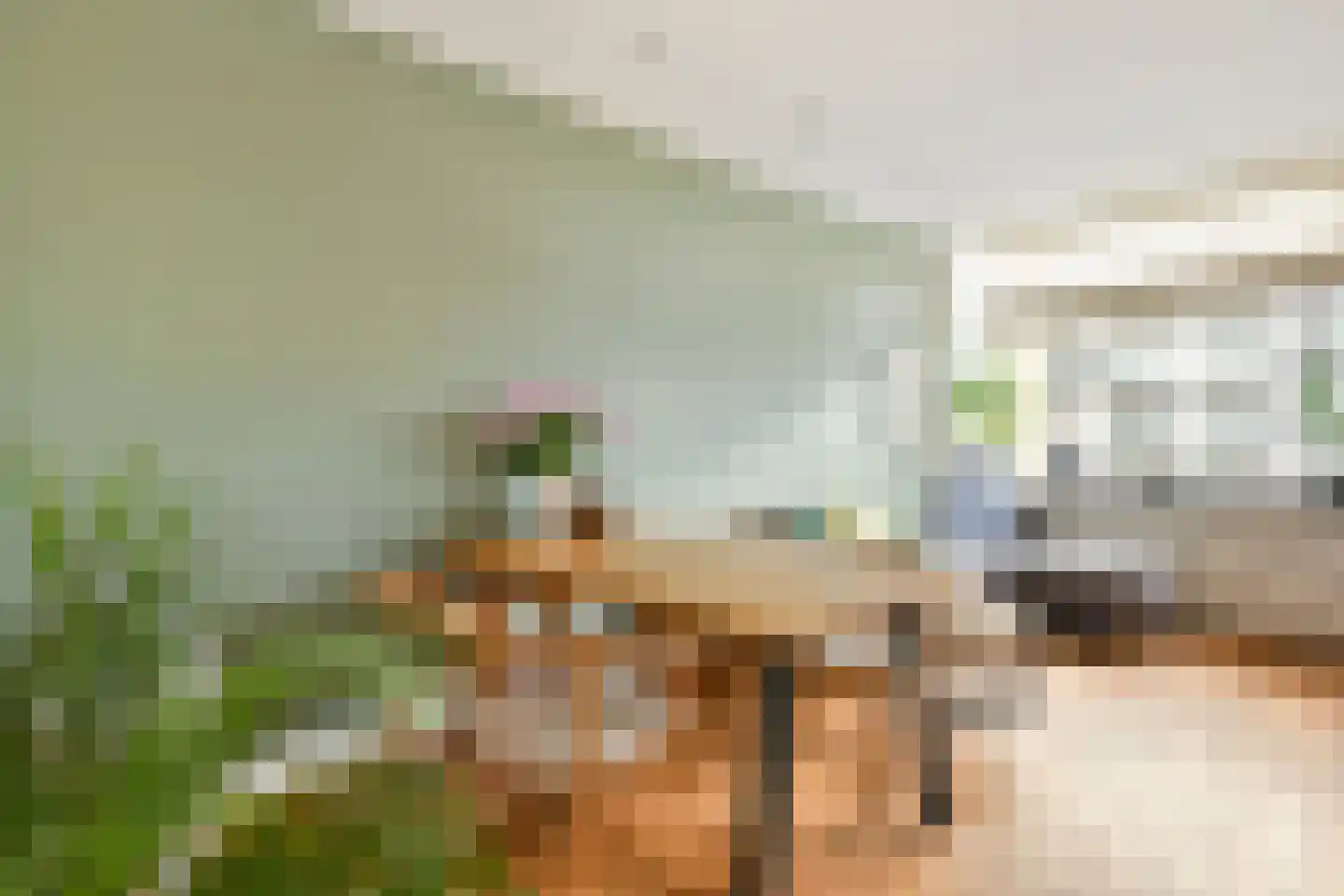 Rozenoord 115 Amstelveen thumbnail 8