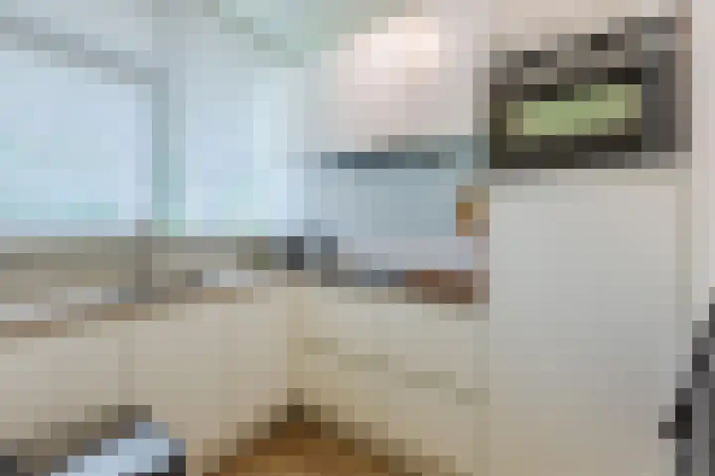 Rozenoord 13 Amstelveen thumbnail 9