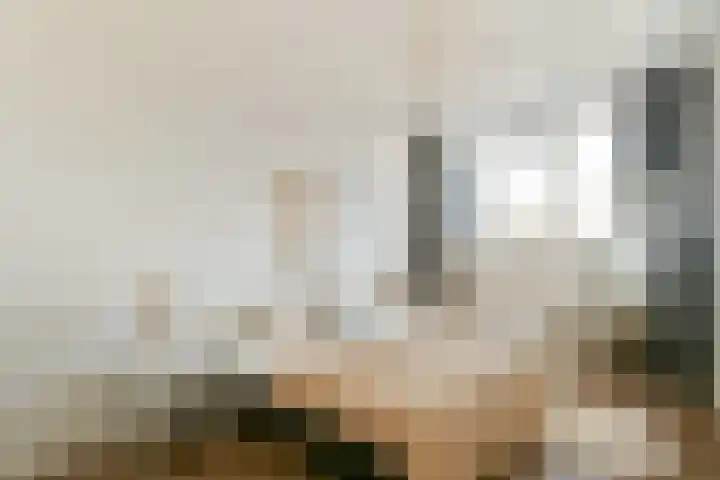 Rozenoord 133 Amstelveen thumbnail 11