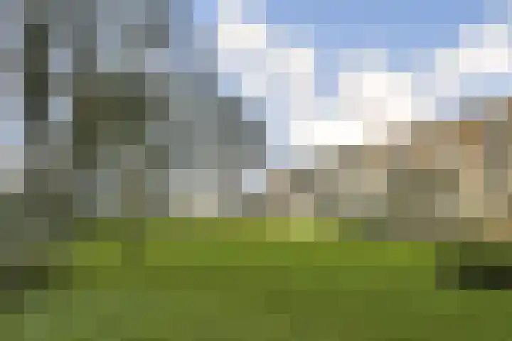 Rozenoord 133 Amstelveen thumbnail 18