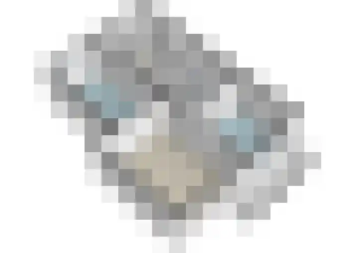 Rozenoord 133 Amstelveen thumbnail 21
