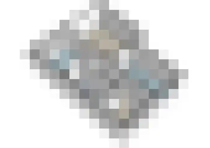 Rozenoord 133 Amstelveen thumbnail 22