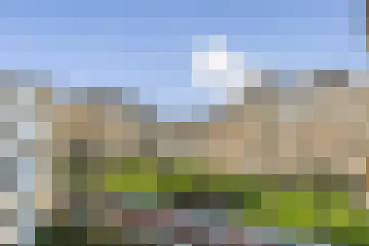Rozenoord 133 Amstelveen thumbnail 8