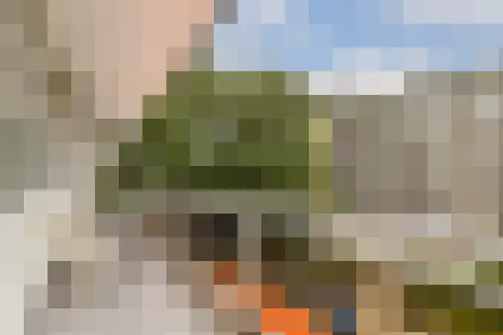 Rozenoord 65 Amstelveen thumbnail 10