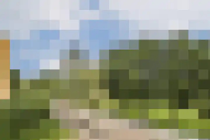 Rozenoord 65 Amstelveen thumbnail 11