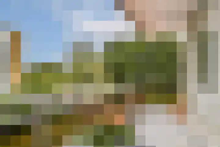 Rozenoord 65 Amstelveen thumbnail 12