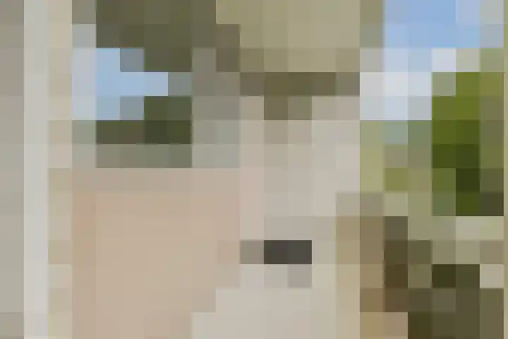 Rozenoord 65 Amstelveen thumbnail 5