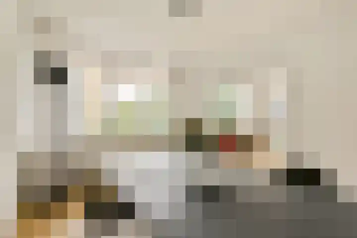 Rozenoord 65 Amstelveen thumbnail 8
