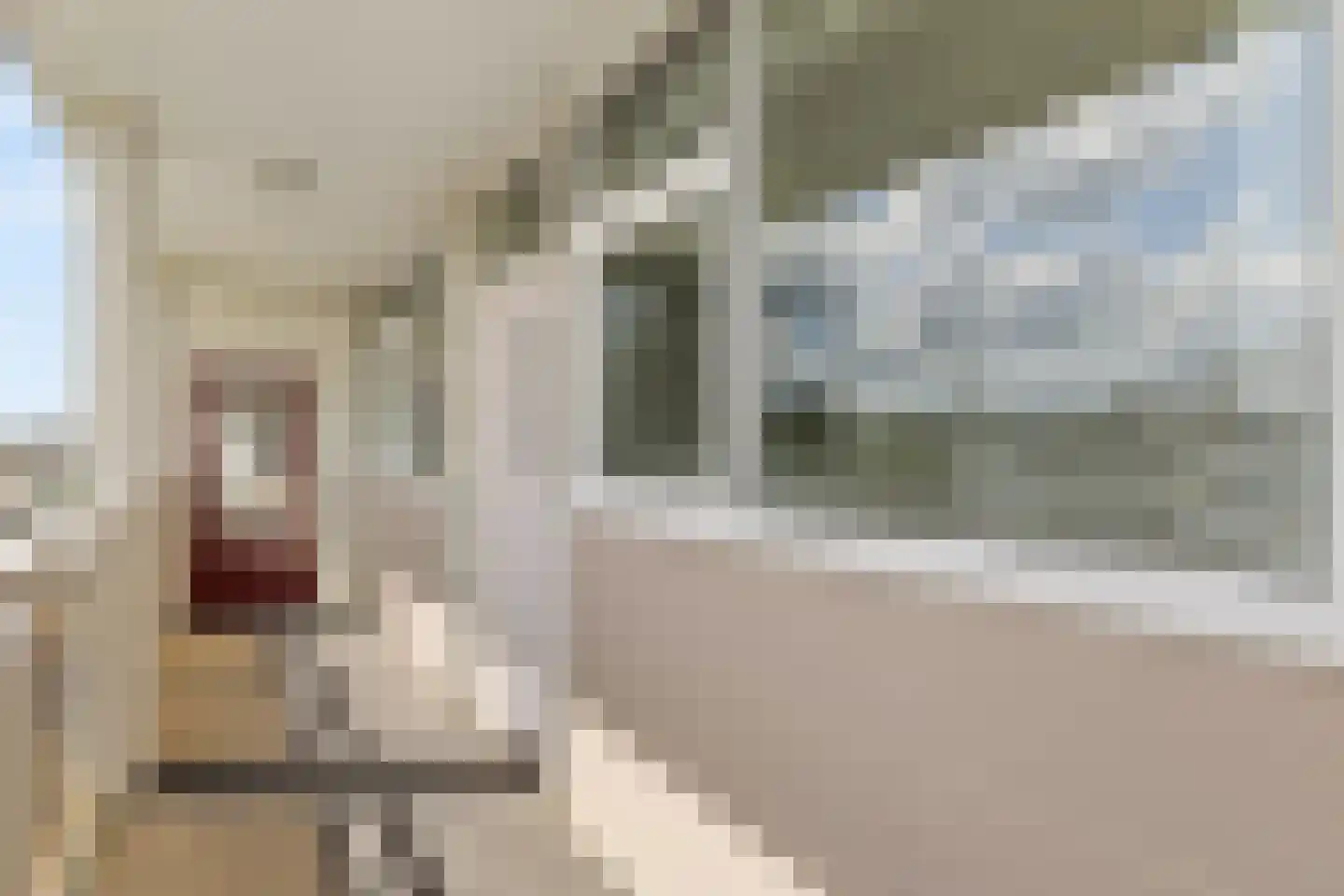 Rozenoord 91 Amstelveen thumbnail 21