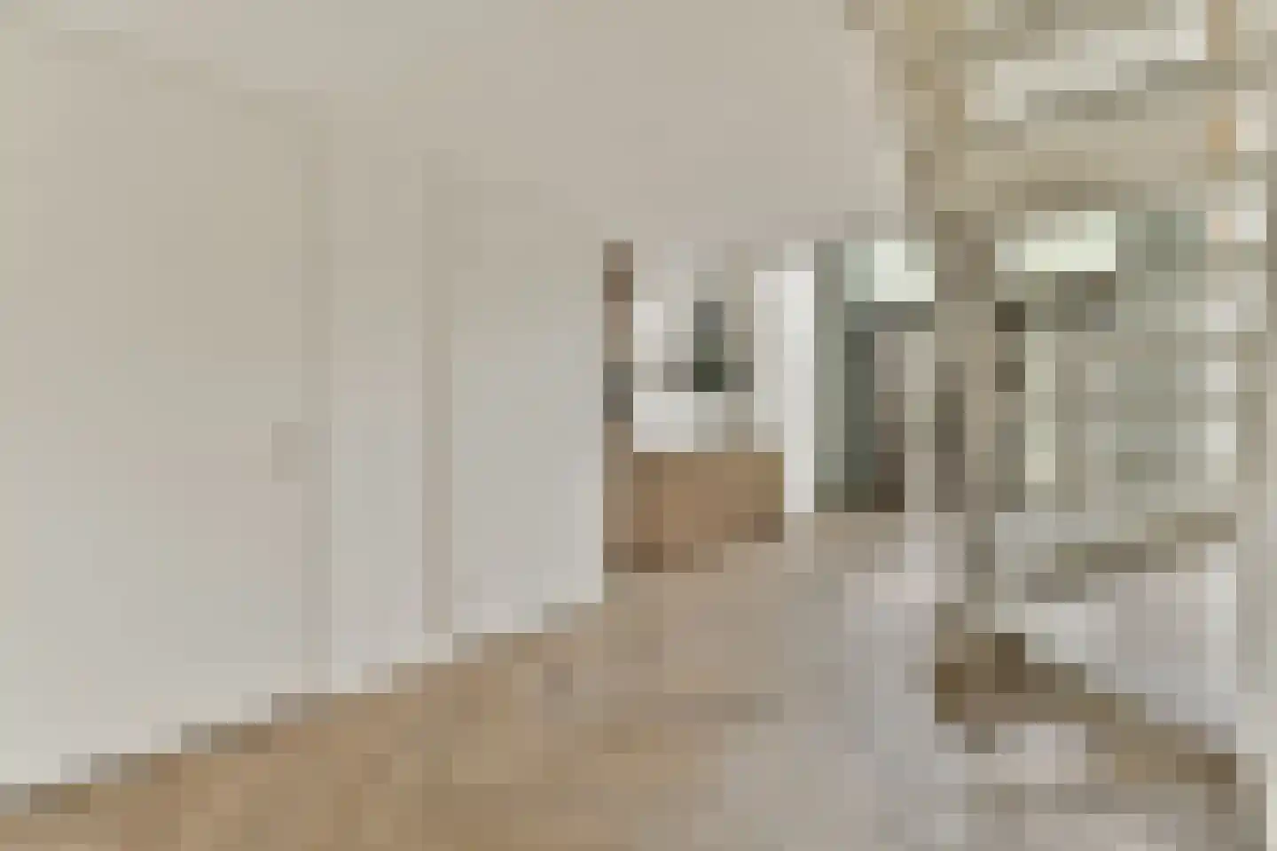Rozenoordpad 11 Amsterdam thumbnail 7