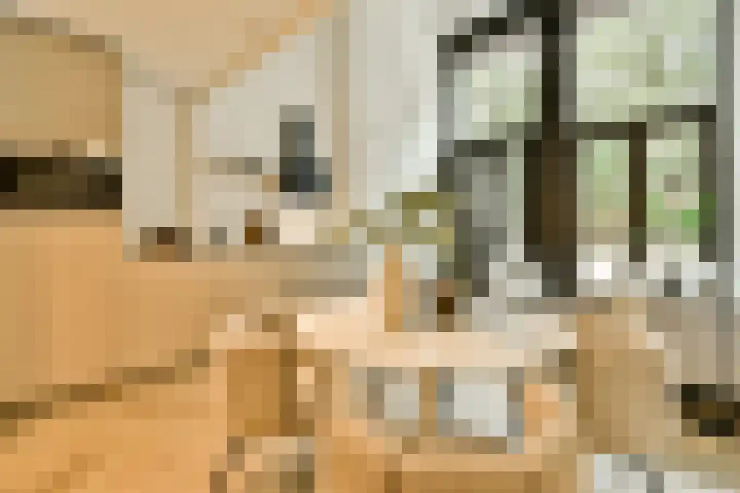 Rozenoordpad 23 Amsterdam thumbnail 11
