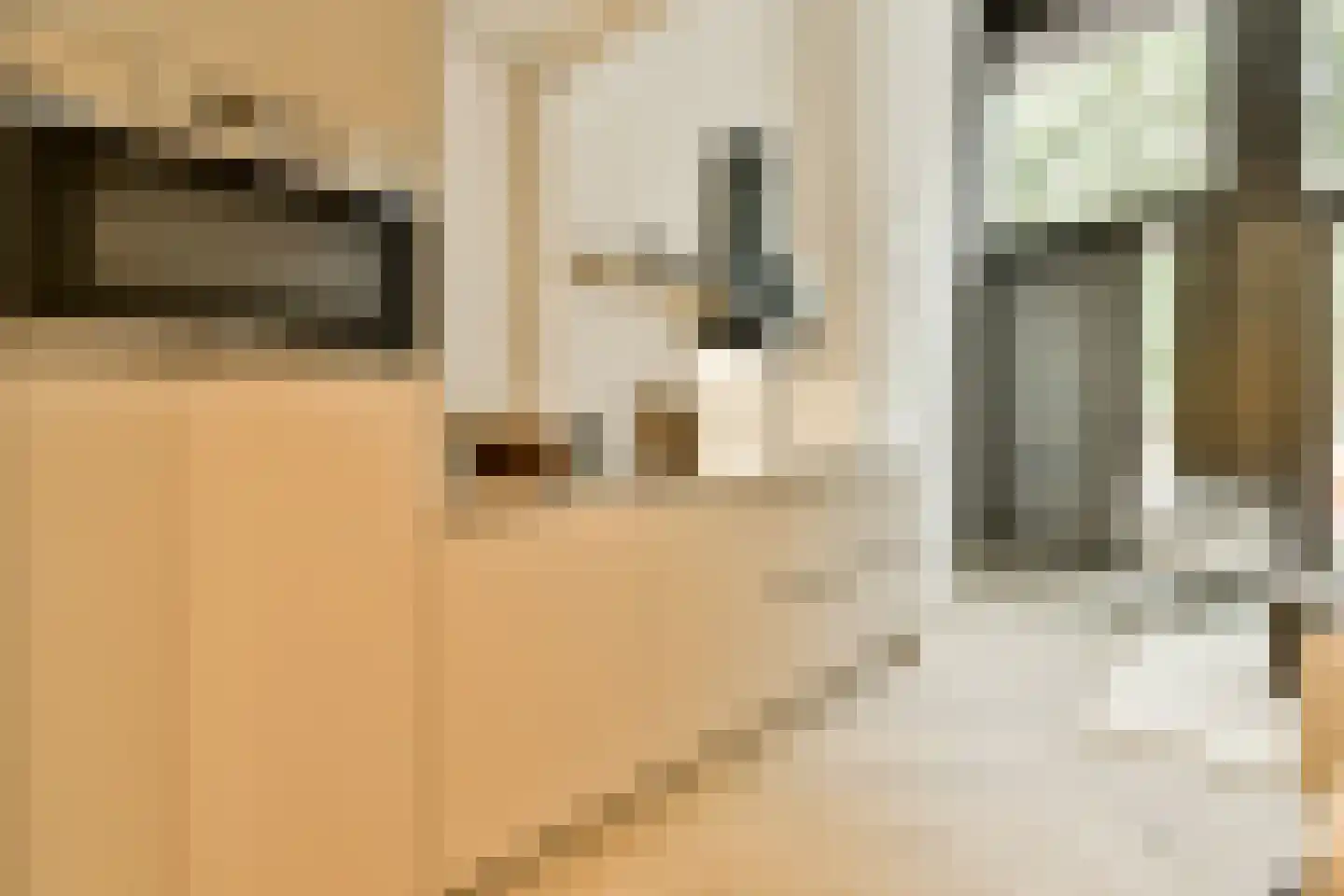 Rozenoordpad 23 Amsterdam thumbnail 13