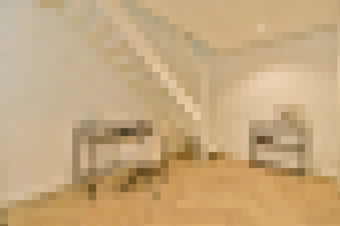 Rozenoordpad 23 Amsterdam thumbnail 14
