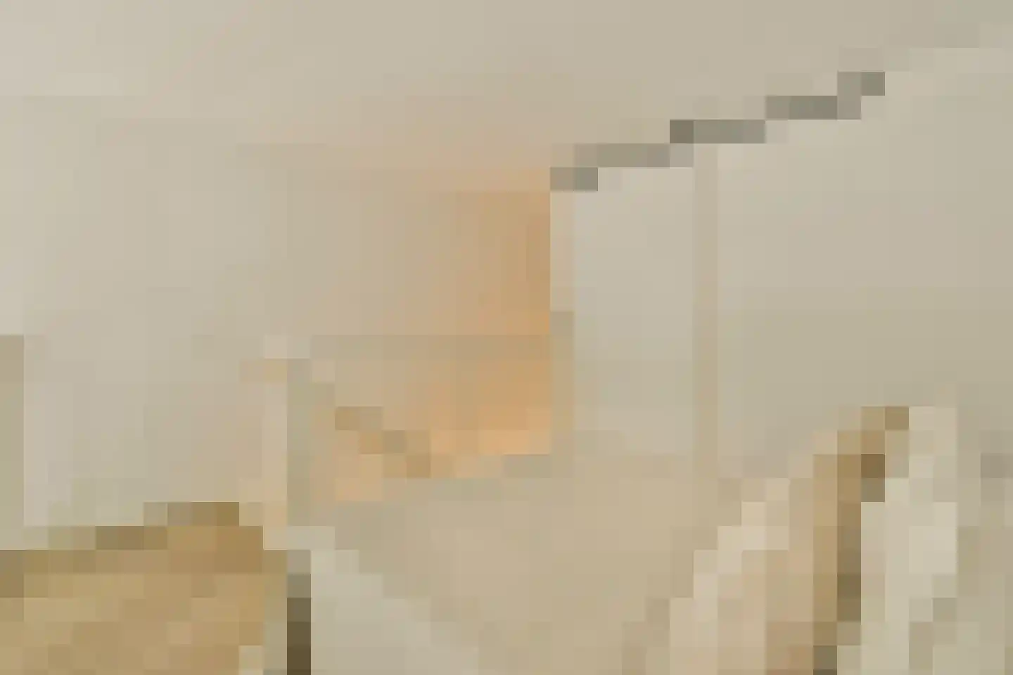 Rozenoordpad 23 Amsterdam thumbnail 19