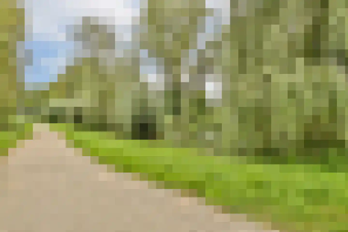 Rozenoordpad 23 Amsterdam thumbnail 22