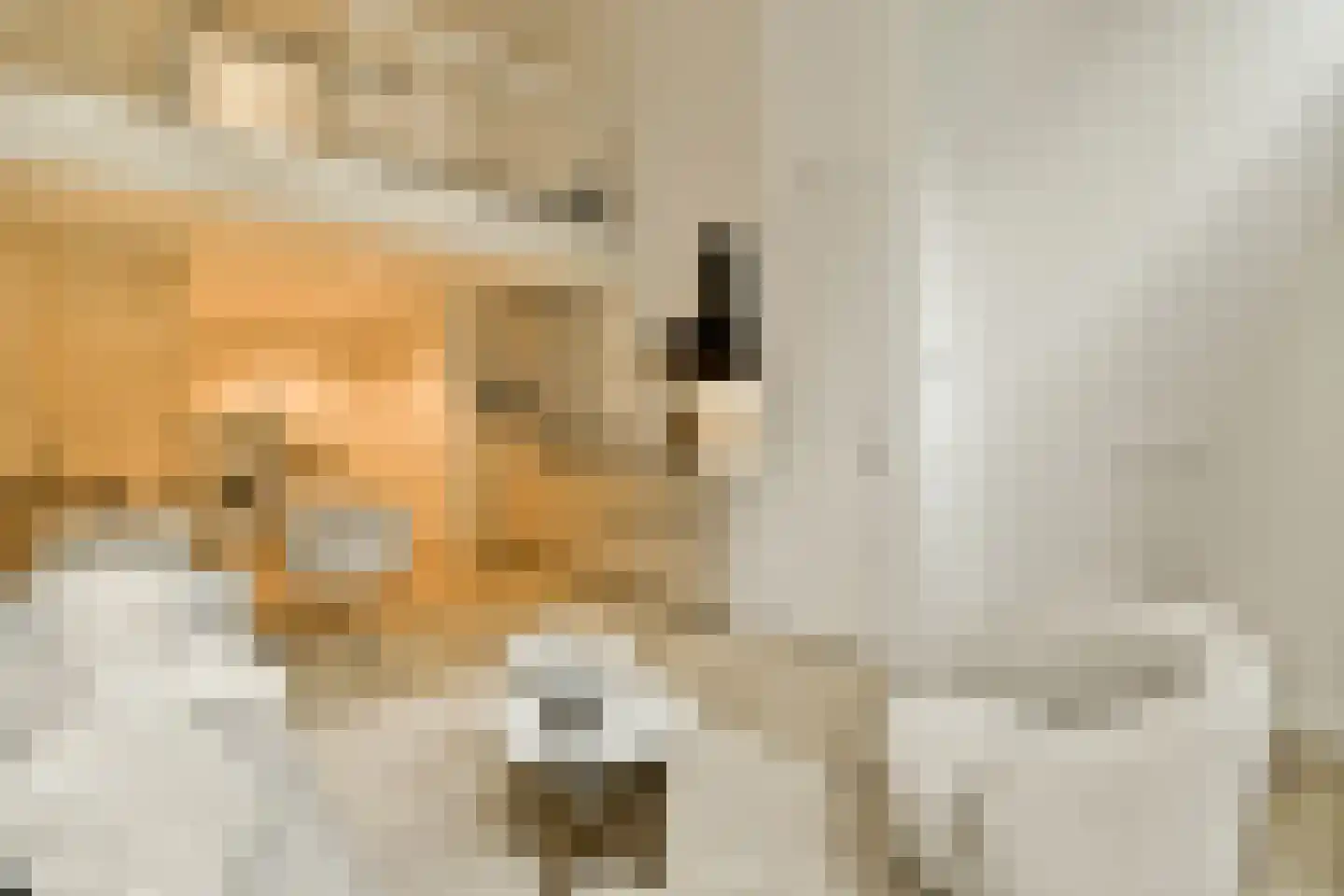 Rozenoordpad 23 Amsterdam thumbnail 4
