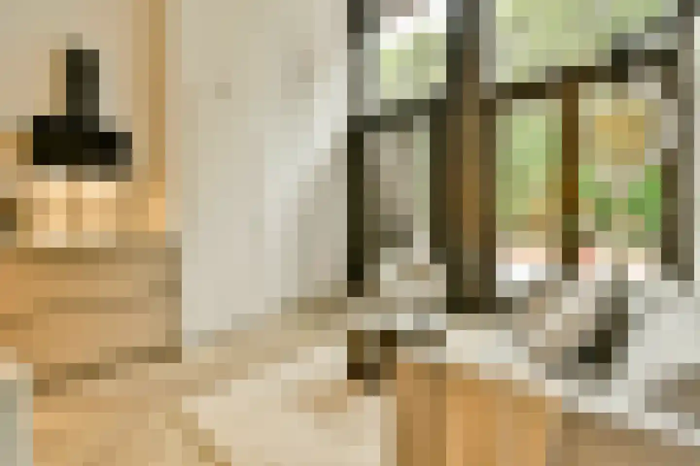 Rozenoordpad 23 Amsterdam thumbnail 7