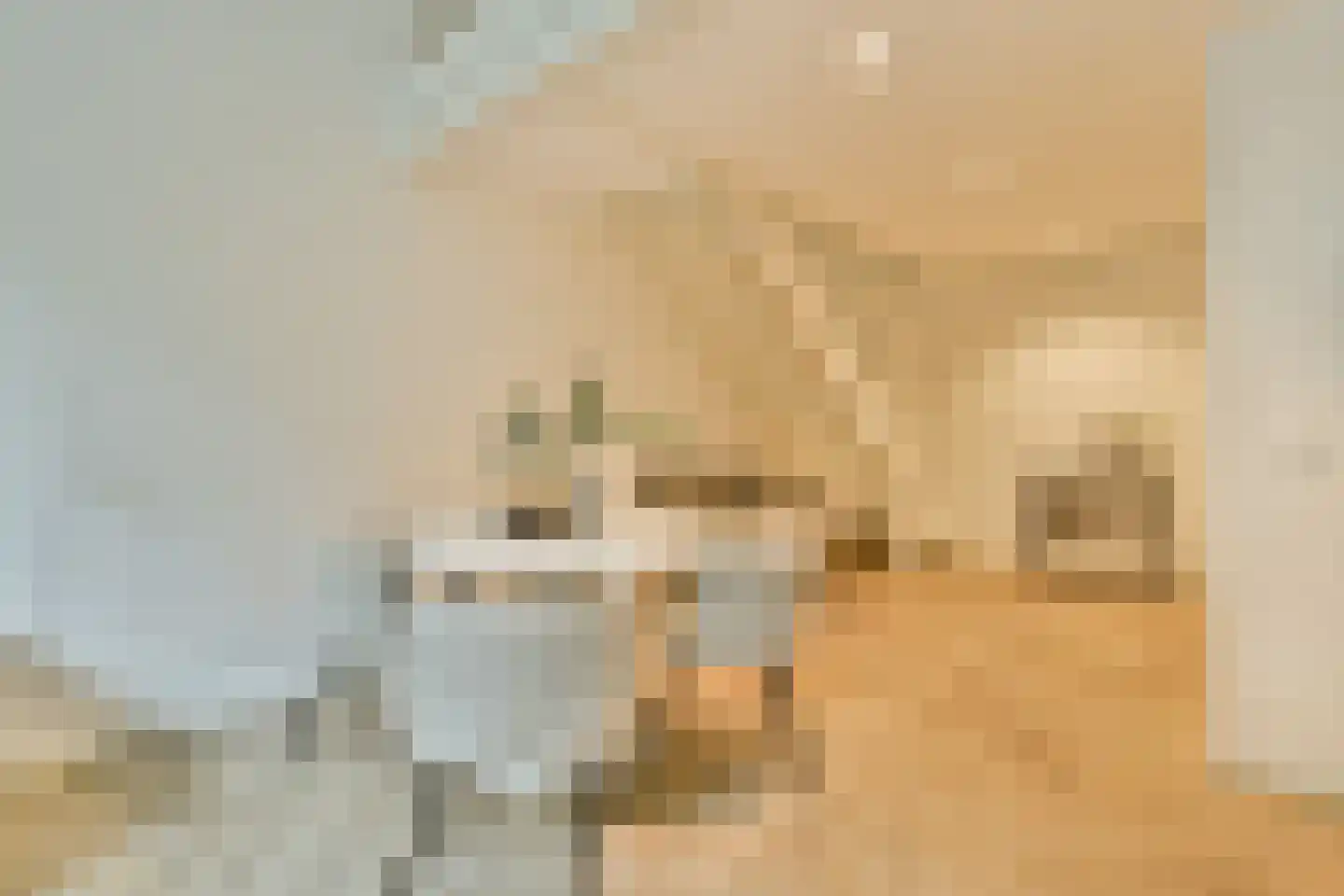 Rozenoordpad 23 Amsterdam thumbnail 8