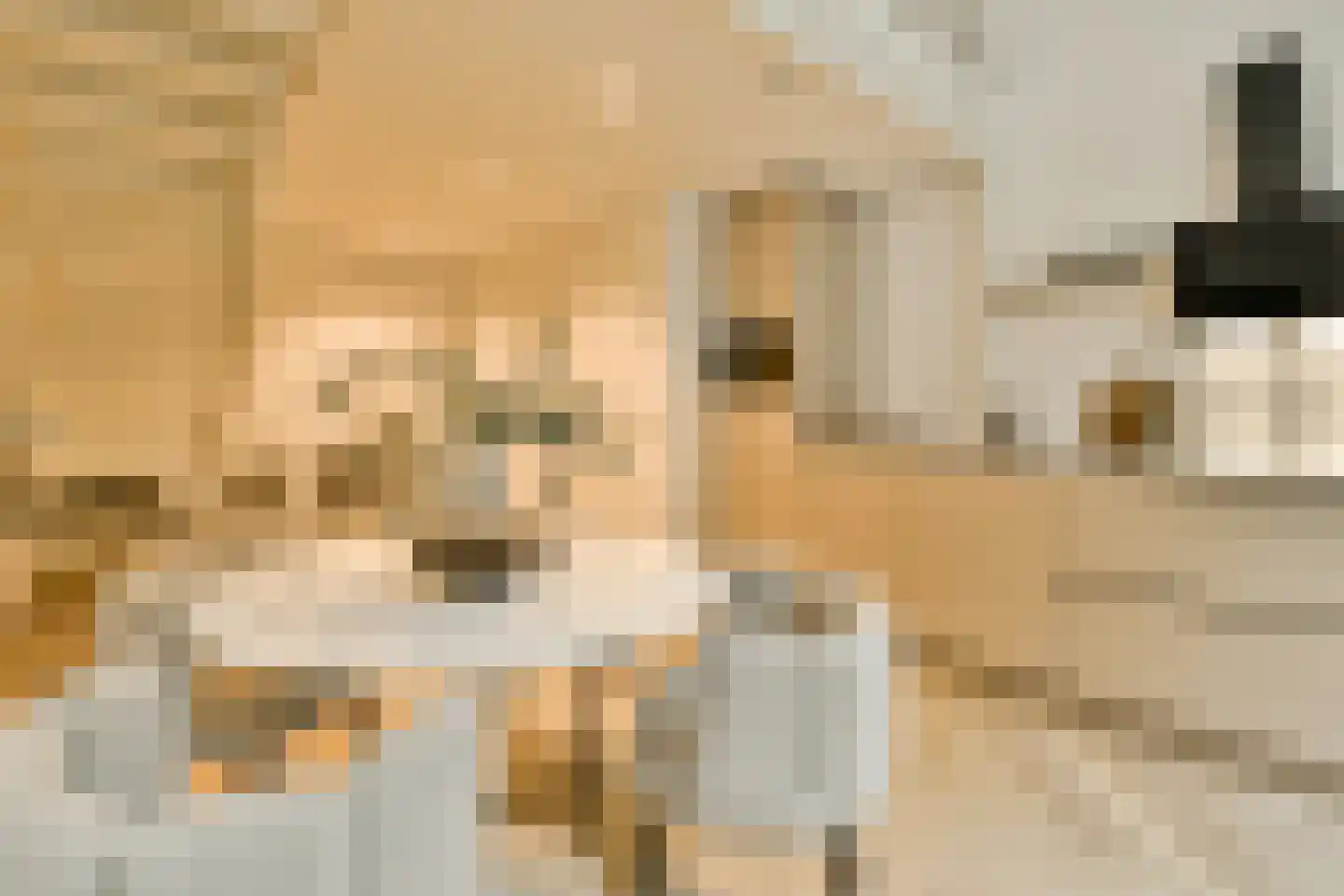 Rozenoordpad 23 Amsterdam thumbnail 9