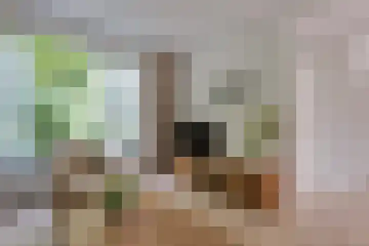 Rozenpad 42 Berkel en Rodenrijs thumbnail 11