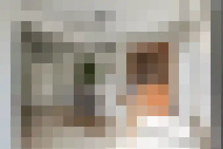 Rozenpad 42 Berkel en Rodenrijs thumbnail 12