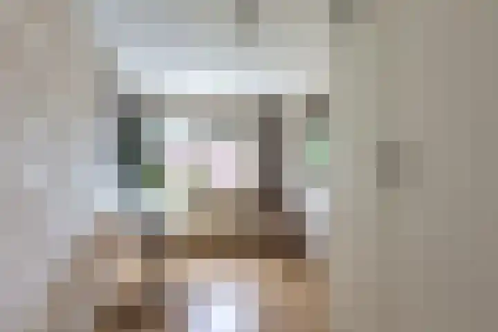 Rozenpad 42 Berkel en Rodenrijs thumbnail 20