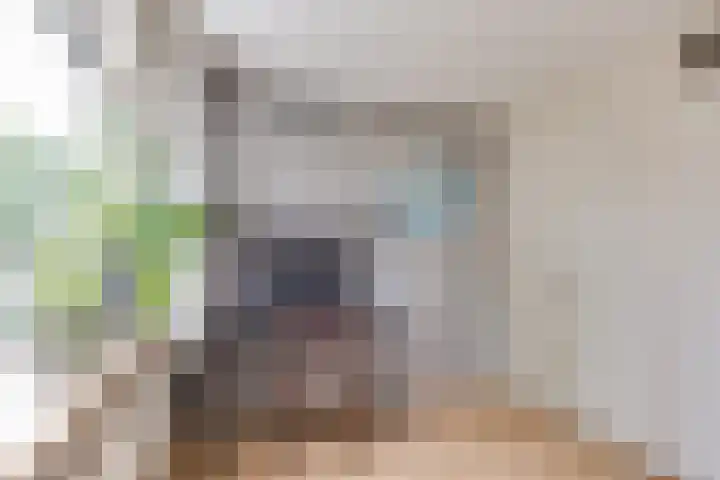 Rozenpad 42 Berkel en Rodenrijs thumbnail 23