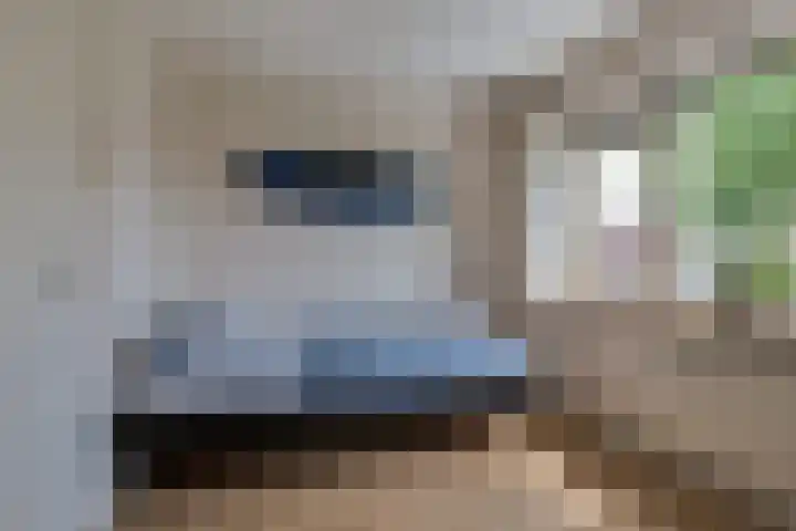 Rozenpad 42 Berkel en Rodenrijs thumbnail 24