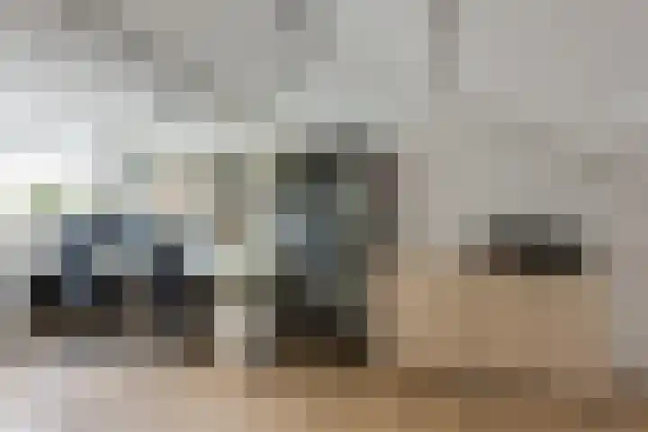 Rozenpad 42 Berkel en Rodenrijs thumbnail 28