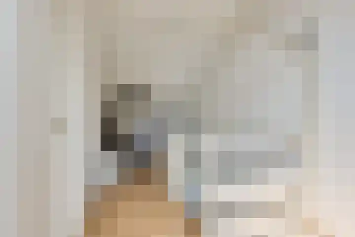 Rozenpad 42 Berkel en Rodenrijs thumbnail 30