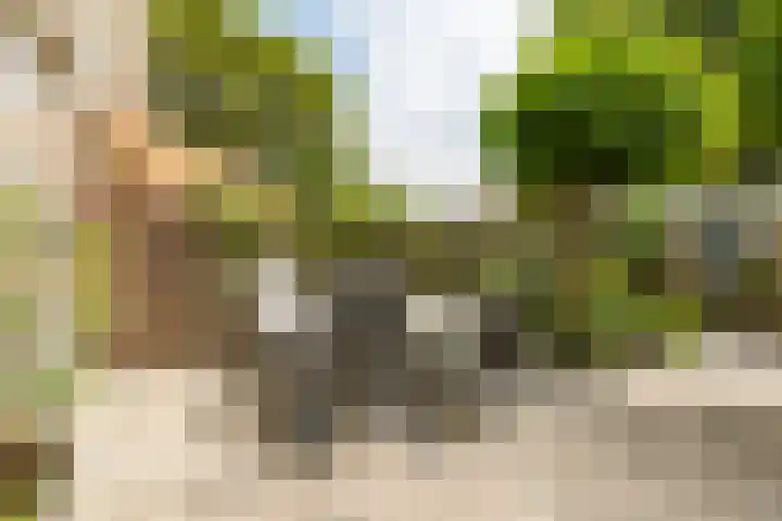Rozenpad 42 Berkel en Rodenrijs thumbnail 32