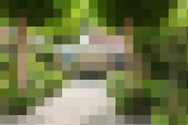 Rozenpad 42 Berkel en Rodenrijs thumbnail 33