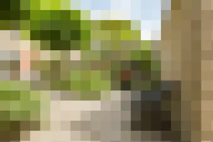 Rozenpad 42 Berkel en Rodenrijs thumbnail 34