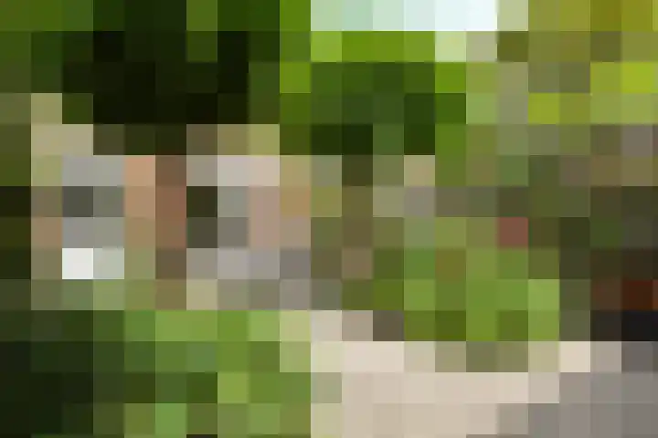 Rozenpad 42 Berkel en Rodenrijs thumbnail 35